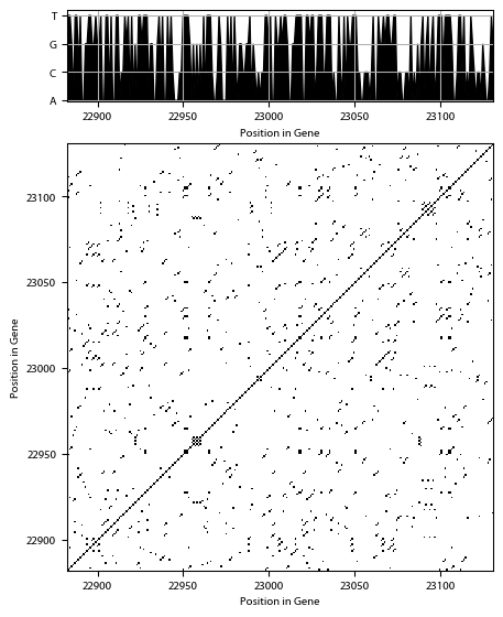 Recurrence plot of the day.