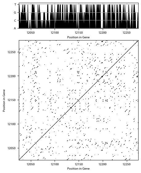 Recurrence plot of the day.