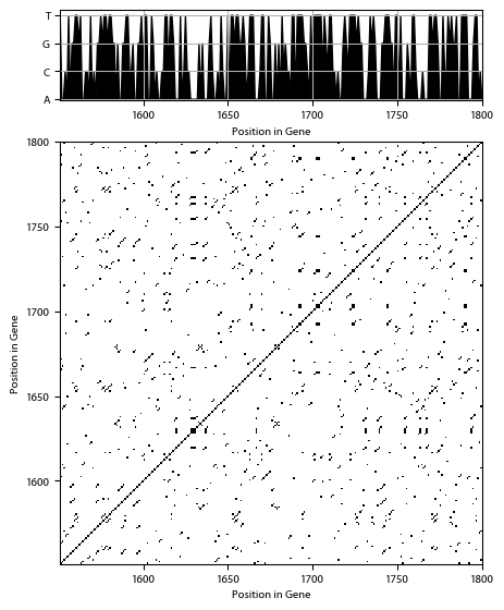 Recurrence plot of the day.